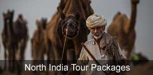 North India Tour Packages